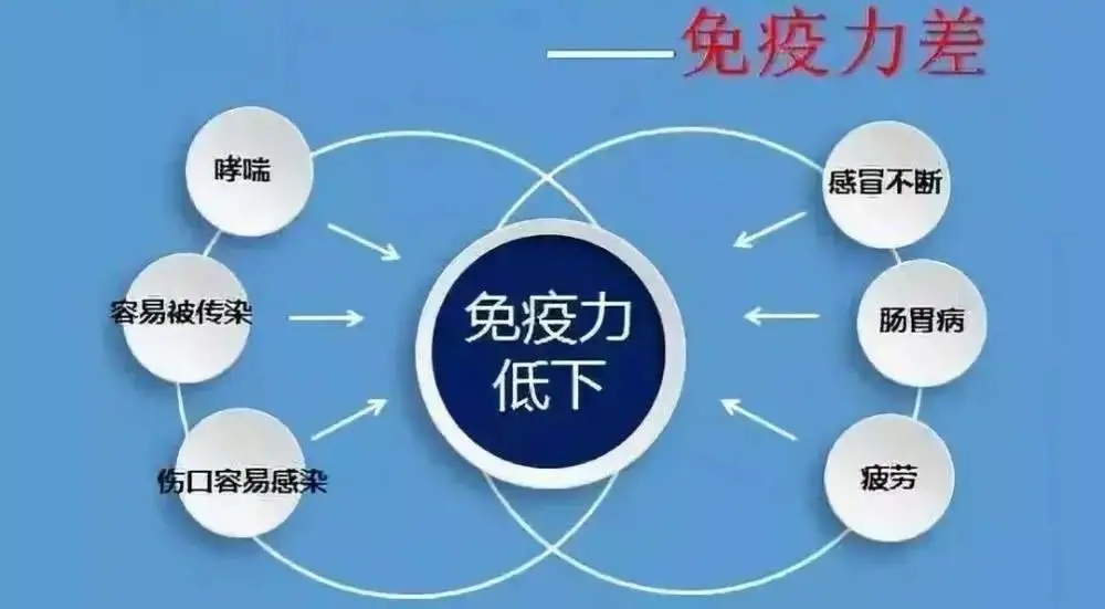 免疫力是怎樣檢測(cè)的？如何提升免疫力？